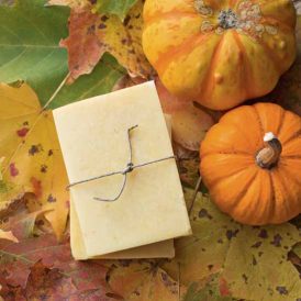 Pumpkin Oatmeal Soap Image